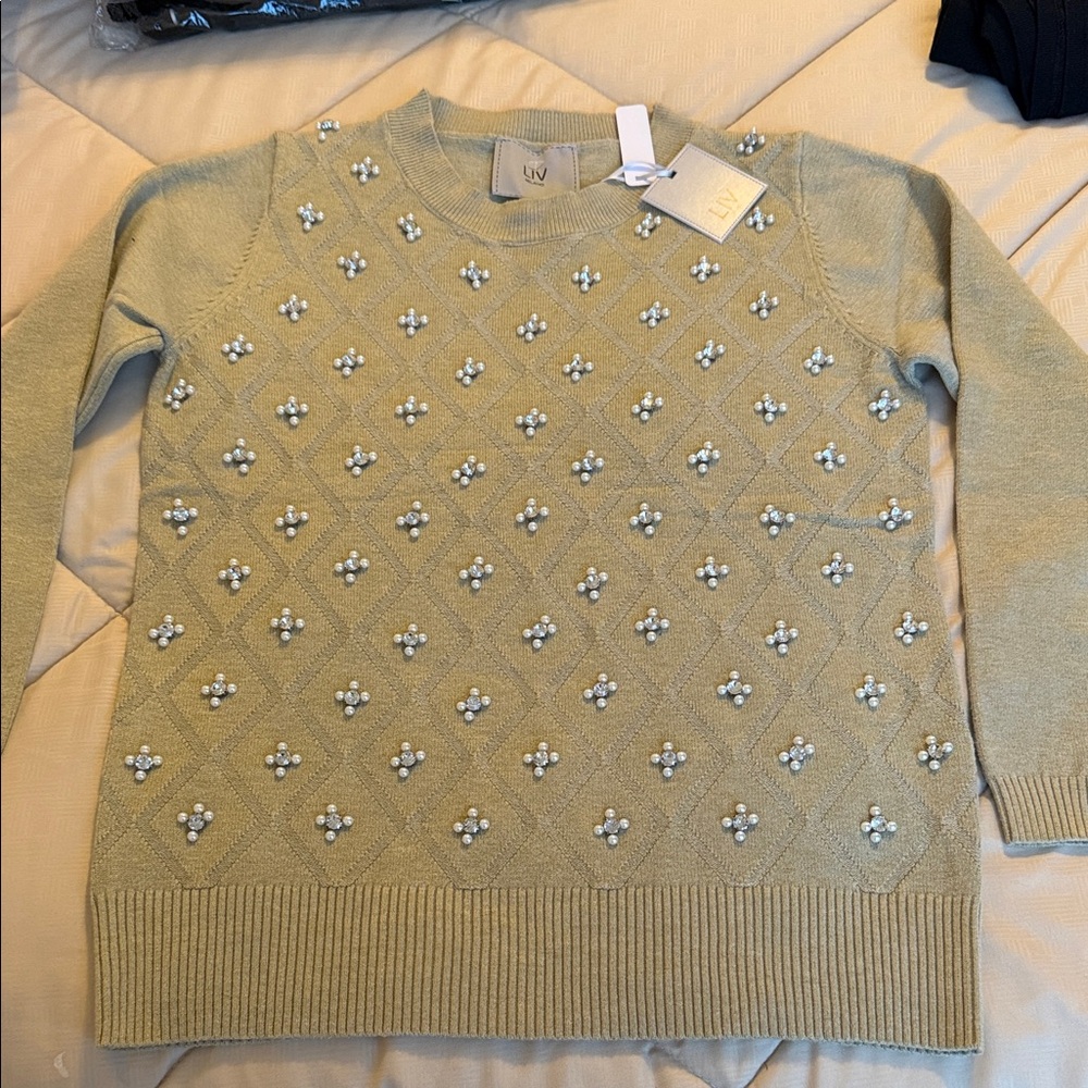 Women's Pearl Embellished Sweater - Light Green